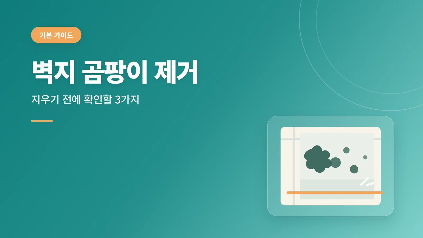 벽지 곰팡이 제거