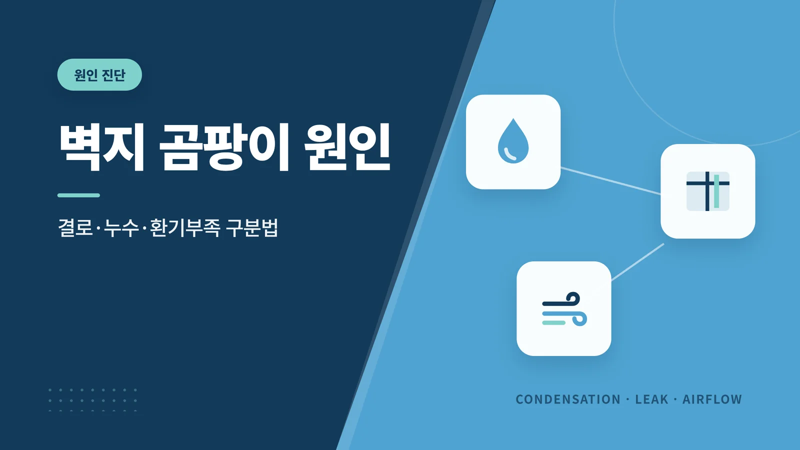 벽지 곰팡이 원인