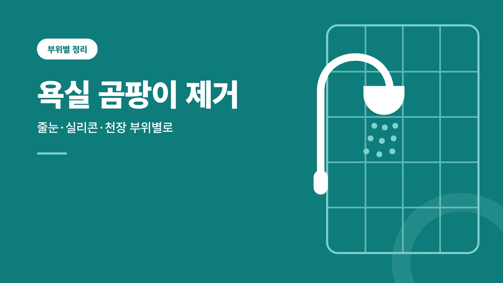 욕실 곰팡이 제거