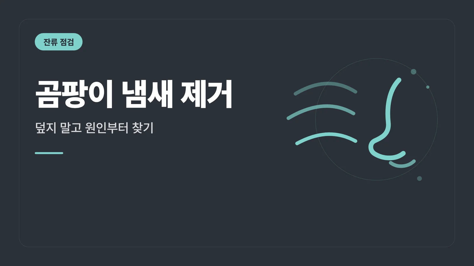 곰팡이 냄새 제거
